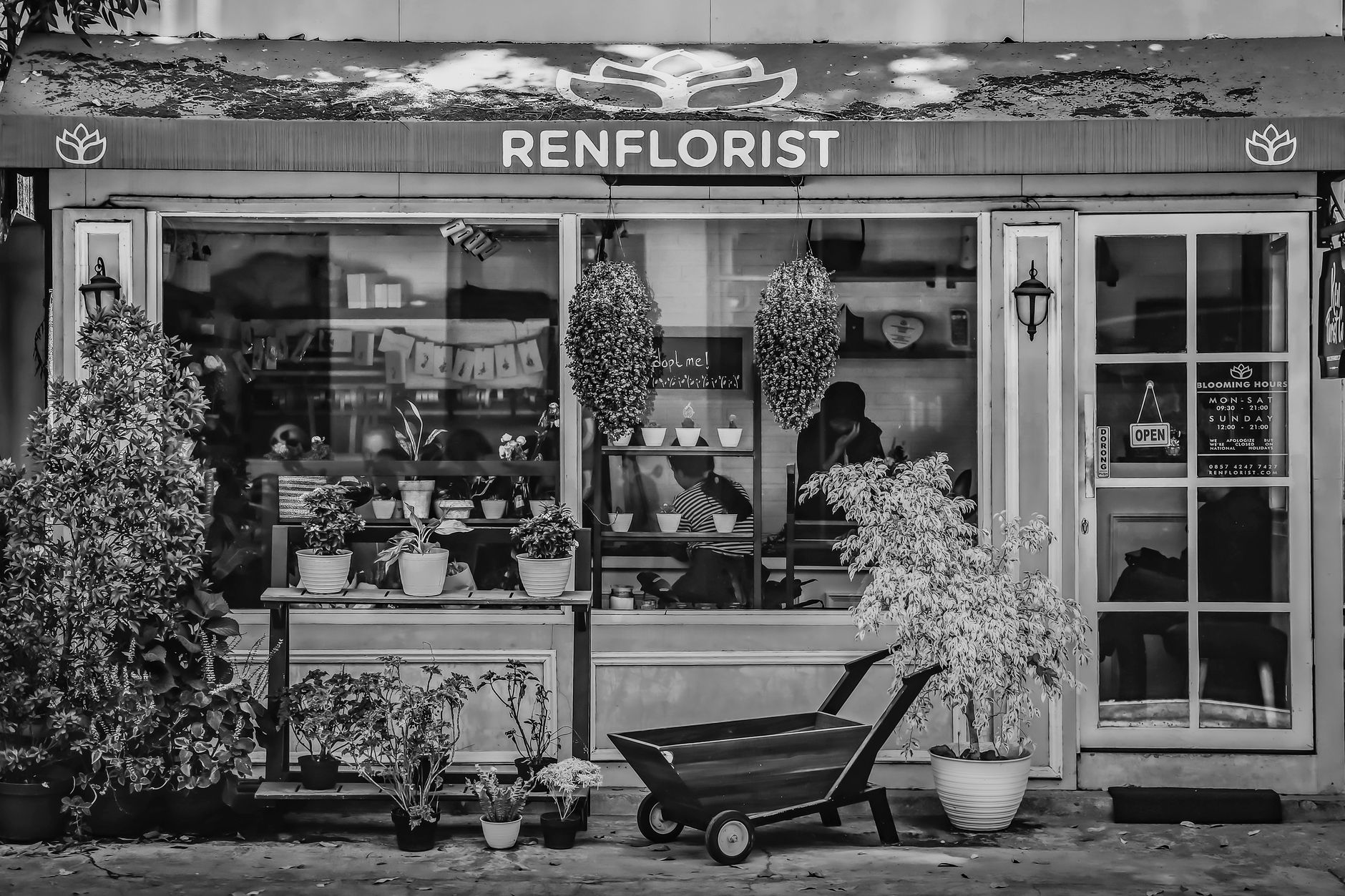 Fleuriste à Gradignan